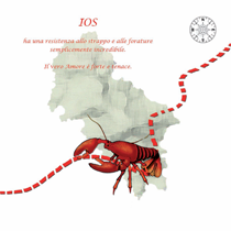 brochure preview
