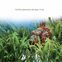 brochure preview