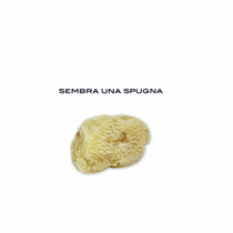 brochure preview